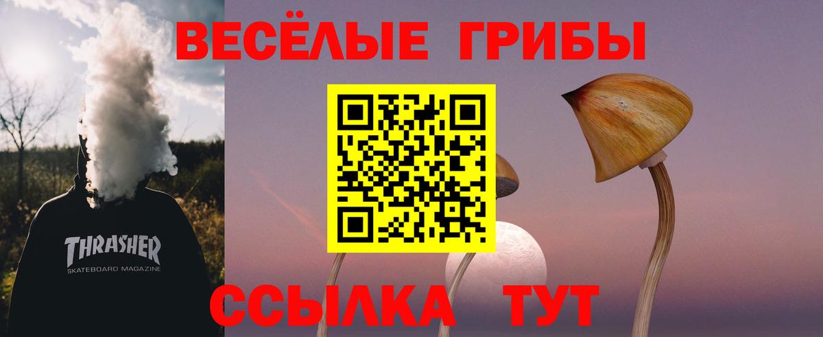 Галлюциногенные грибы мицелий Мурманск